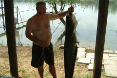 23-kg-os-harcsa