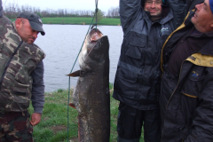 32-kg-os-harcsa_2