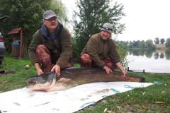 50-kg-harcsa