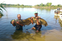 52-kg-os-harcsa-20140802