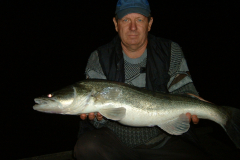 650-kg-fogas