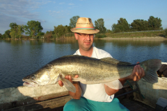 7-kg-os-fogas