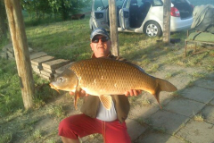 880kg-toponty