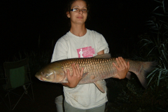 DSCF0126_0