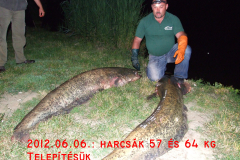 57-es-64-kg-os-harcsak