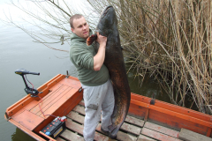 Harcsa-42kg