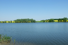 DSCF6055