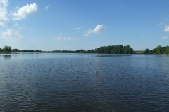 DSCF6386