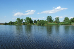 DSCF6388