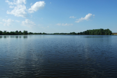 DSCF6390