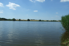 DSCF6465