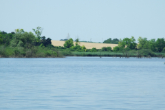 DSCF6470