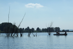 DSCF6815