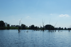 DSCF6819
