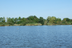 DSCF6829
