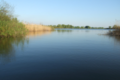 Halbolcso3