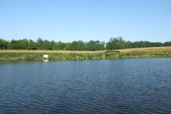 DSCF0547