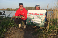 2.EBOLA-Catfisch-harcsaja