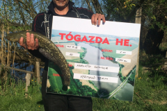 7.Vermelo-Team-14kg