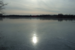 DSCF8824