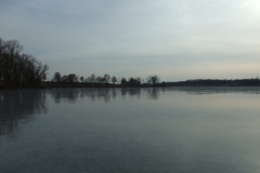 DSCF8827